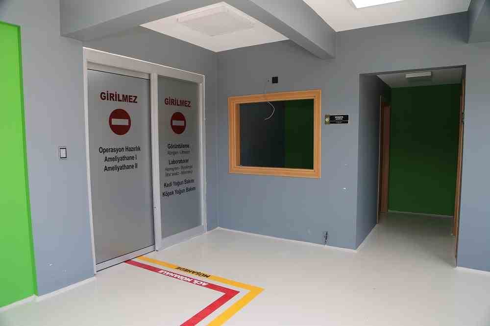 YAVRU PATİYE BAŞARILI OPERASYON